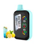 Remit Mega 18000 Disposable Vape 18ml