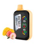 Remit Mega 18000 Disposable Vape 18ml