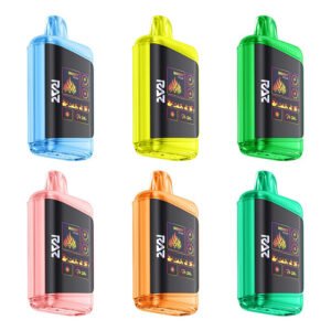 (10-PACK) RAZ DC25000 Disposable Vape